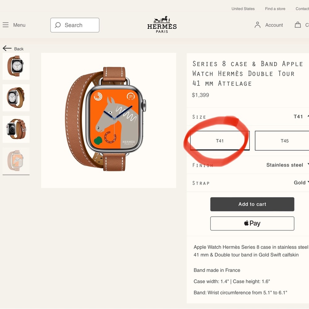 NWT Hermes Apple Watch ⌚️.